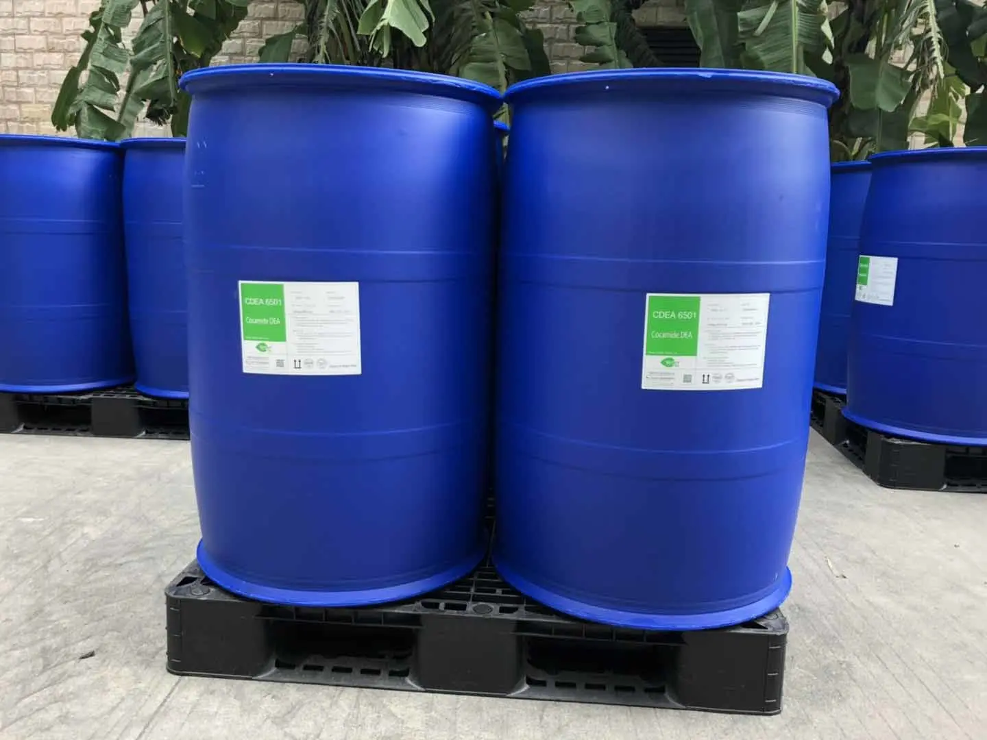 Coconut Diethanolamide (CDE)